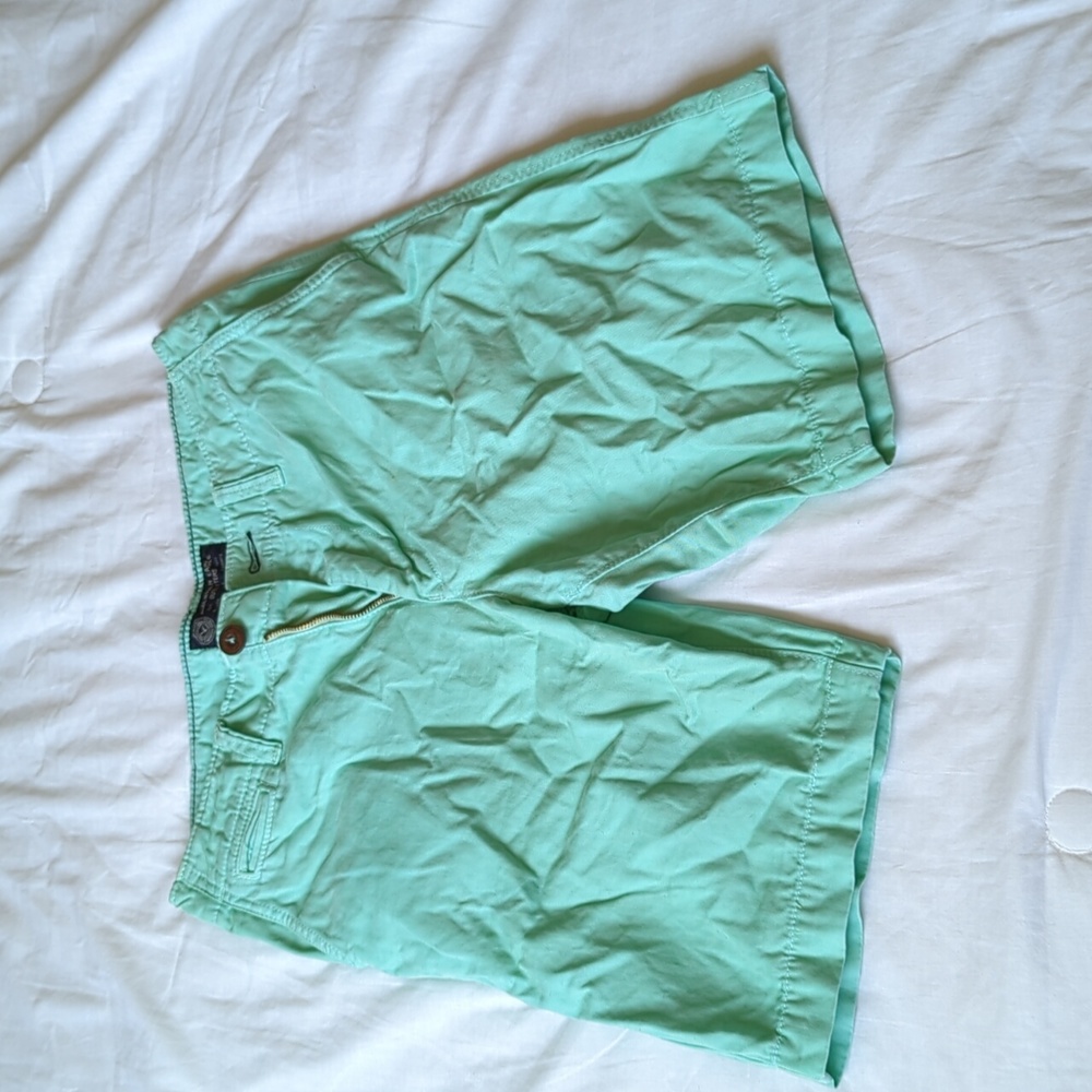 Size 30 in men's American eagle outfitter shorts mint green